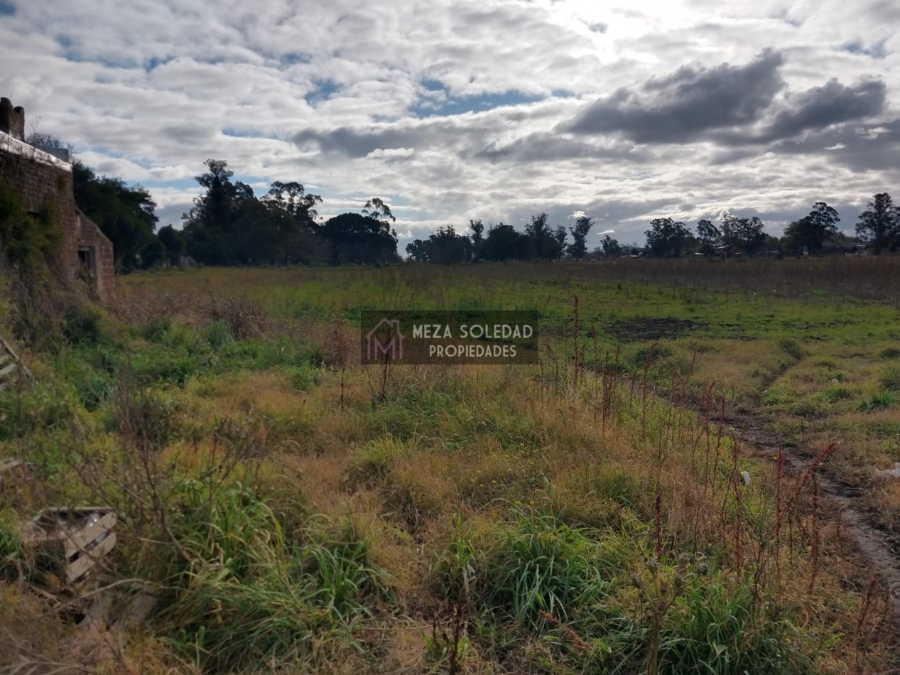 VENTA CASA Y 3 HECTAREAS 