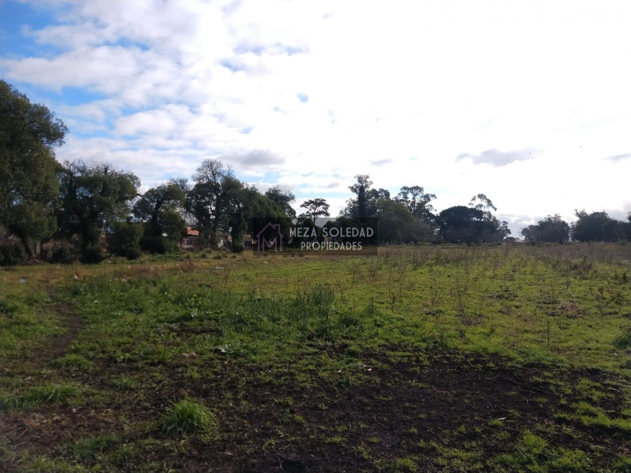 VENTA CASA Y 3 HECTAREAS 